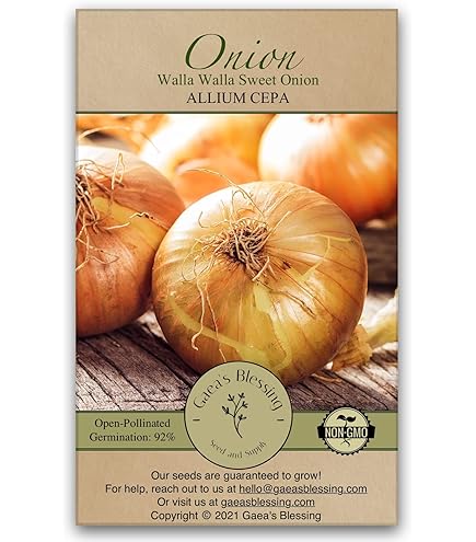 onionページ Amazon.com: AYZTKUX 50 Pack Onion Bags Mesh, 10 lb 11” x 20
