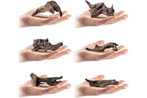 Tfwadmx Natural Small Coral Driftwood for Aquarium Decor 6 Pcs 4-5" Fish Tank Decorations Reptile Decor Assorted Driftwood Branch Reptile Tank Wood Decor