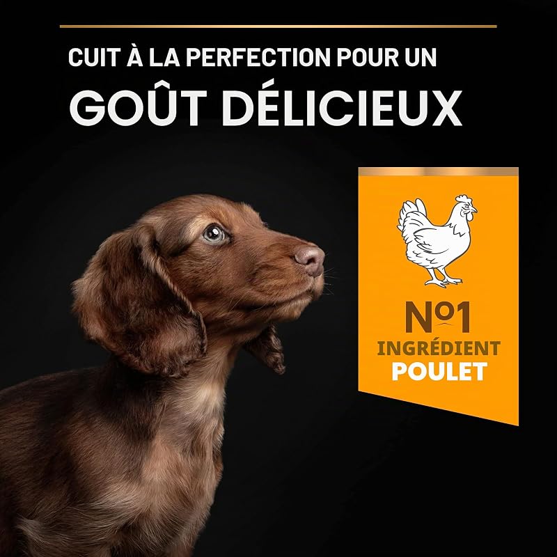 Pro Plan Small&Mini Puppy Start Croquettes pour Chien Chiot avec Colostrum 8 x 700 g