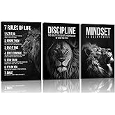 3 Pcs Framed Lion Inspirational Quotes Canvas Wall Art 7 Rules of Life Poster Wall Decor Pictures Office inspiration Poster Prints for Home Office gym study workplace Decoration 12x16 in