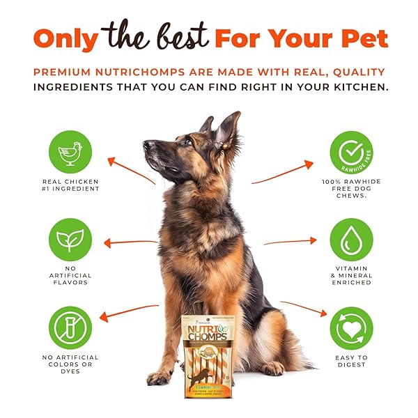 NUTRICHOMPS DOG CHEWS 5-INCH TWISTS, EASY TO DIGEST, RAWHIDE-FREE DOG TREATS, 10 COUNT, REAL PEANUT BUTTER FLAVOR (PACKAGING MAY VARY)