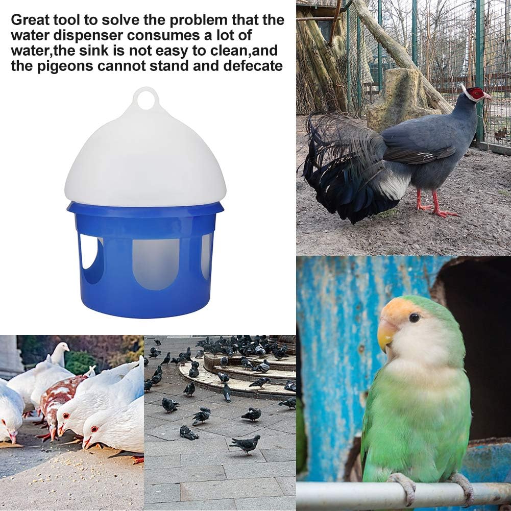 automatic pigeon feeder