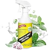 16 Oz Peppermint Oil Insect & Pest Spray, Natural Plant-Based Peppermint Oil Spray for Bugs, Mice, Spiders, Ants, and More, Indoor Bug Spray for Home Kitchen