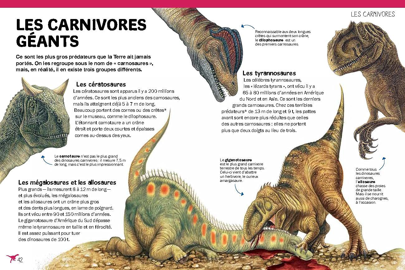 Sur Les Traces Des Dinosaures Olivaux Thierry Del Nevo Annapaola Amazon Com Books