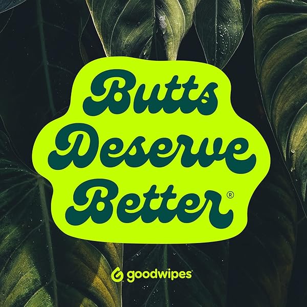 GOODWIPES FLUSHABLE BUTT WIPES MADE WITH VITAMIN E & ALOE – SOFT & GENTLE WET WIPE DISPENSER FOR HOME USE, SEPTIC & SEWER SAFE – LARGEST ADULT TOILET WIPES – ROSEWATER, 60 COUNT