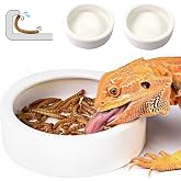 Reptile Food Dish Bowl 2Pcs Lizard Gecko Worm Water Bowls Small (2.75in) | Anti-escape Ceramic Mealworms Bowls for Leopard Bearded Dragon Chameleon Hermit Crab Dubia Cricket Feeding, Superworm Feeder