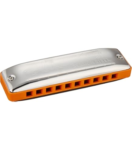 Amazon.com: Seydel, professional 16 hole chromati symphony alu hol