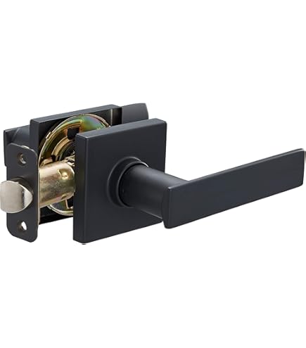Amazon Basics Contemporary Stamford Door Lever- Entry- Matte