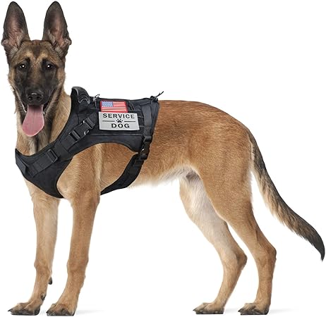 military working dog vest
