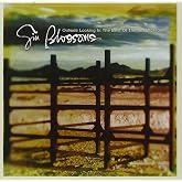 Outside Looking In: The Best Of Gin Blossoms