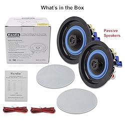 Herdio 4” HCS418 160 Watts 2 Way Flush Mount in
