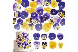 Natural Dried Pressed Pansy Flowers, 48 Pieces, 8 Varieties, for Cake Decorating, Crafts and Jewelry Making (Mix Viola Tricol