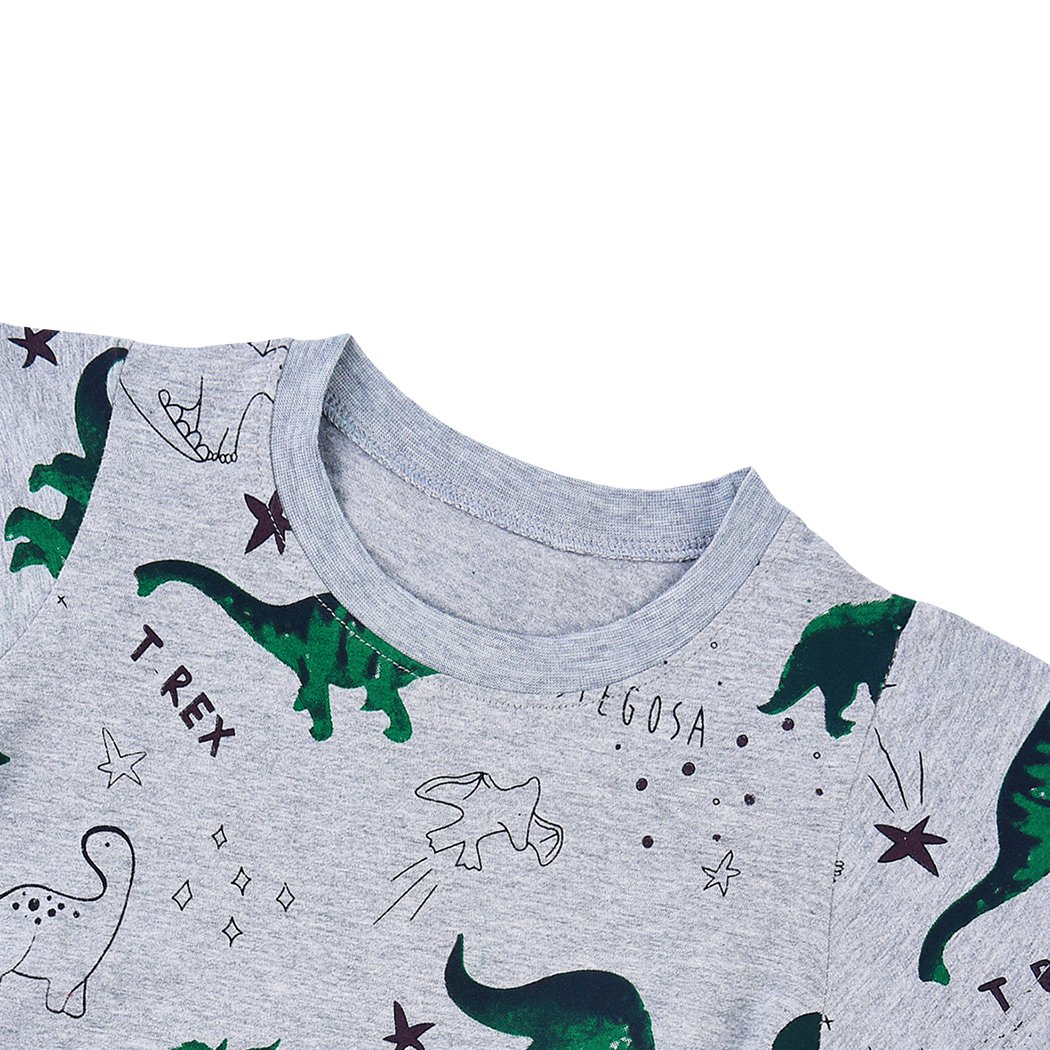 DDSOL Little Boys Toddler Jurassic Dinosaur T Short Sleeve Tee Cartoon T Shirt