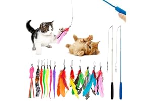 Feather Teaser Cat Toy, 2PCS Retractable Cat Wand Toys and 13PCS Replacement Teaser with Bell Refills, Interactive Catcher Te