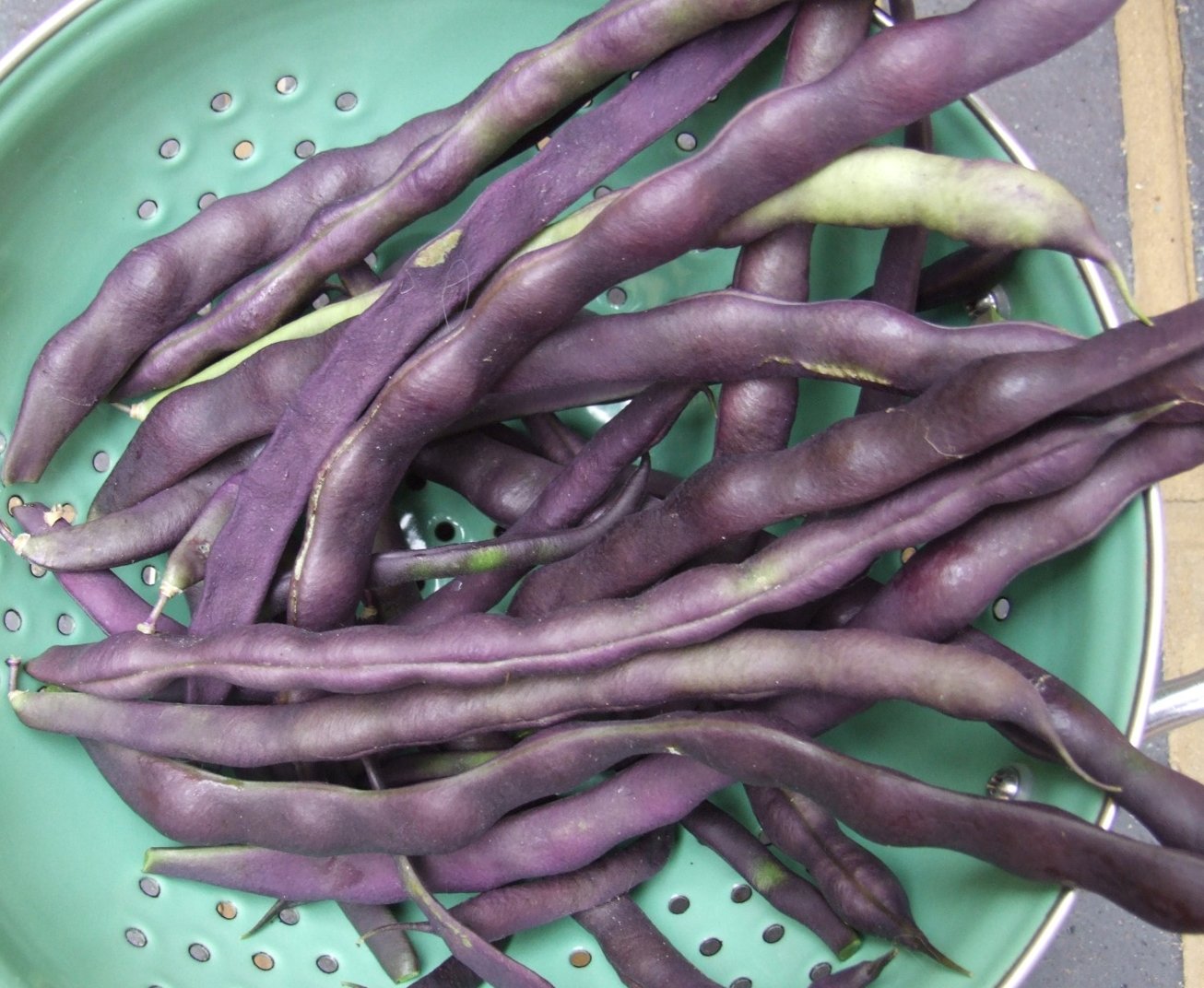 Home & Garden Green Bean Seeds Seeds 1.69 Max Shipping 20 Haricot