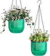 Josteve 6.5 Inch Self Watering Hanging Planter with Visible Water Level view 1