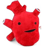 I Heart Guts Heart Plush - I Got The Beat! - 10" Stuffed Heart Plushie for Open Heart Surgery Gifts - Educational Cardiologist Gifts for Med Students, Science Teachers & Cardiac Nurses