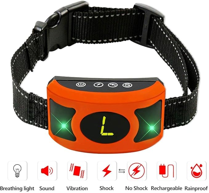 places that sell ferrets