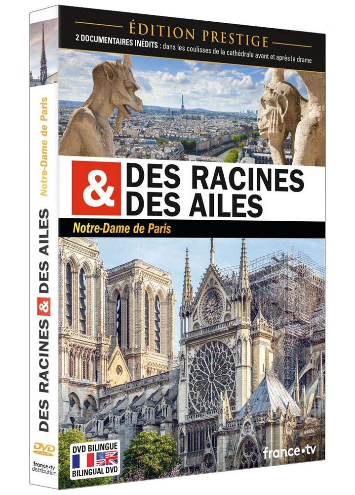 Amazon Com Des Racines Et Des Ailes Notre Dame De Paris Dvd Edition Prestige Movies Tv