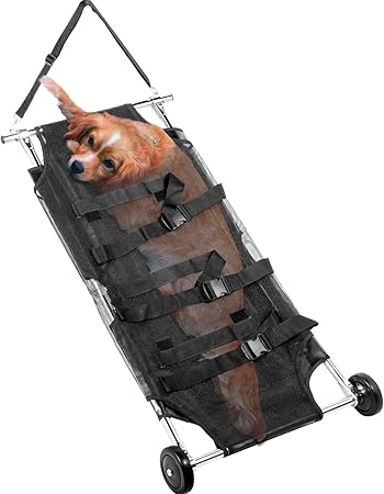 veterinary dog stretchers