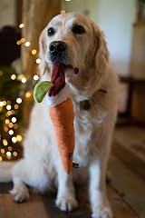 Petface Christmas Carrot Plush Dog Toy with Built-In Squeaker Large Pack of 1 view 4