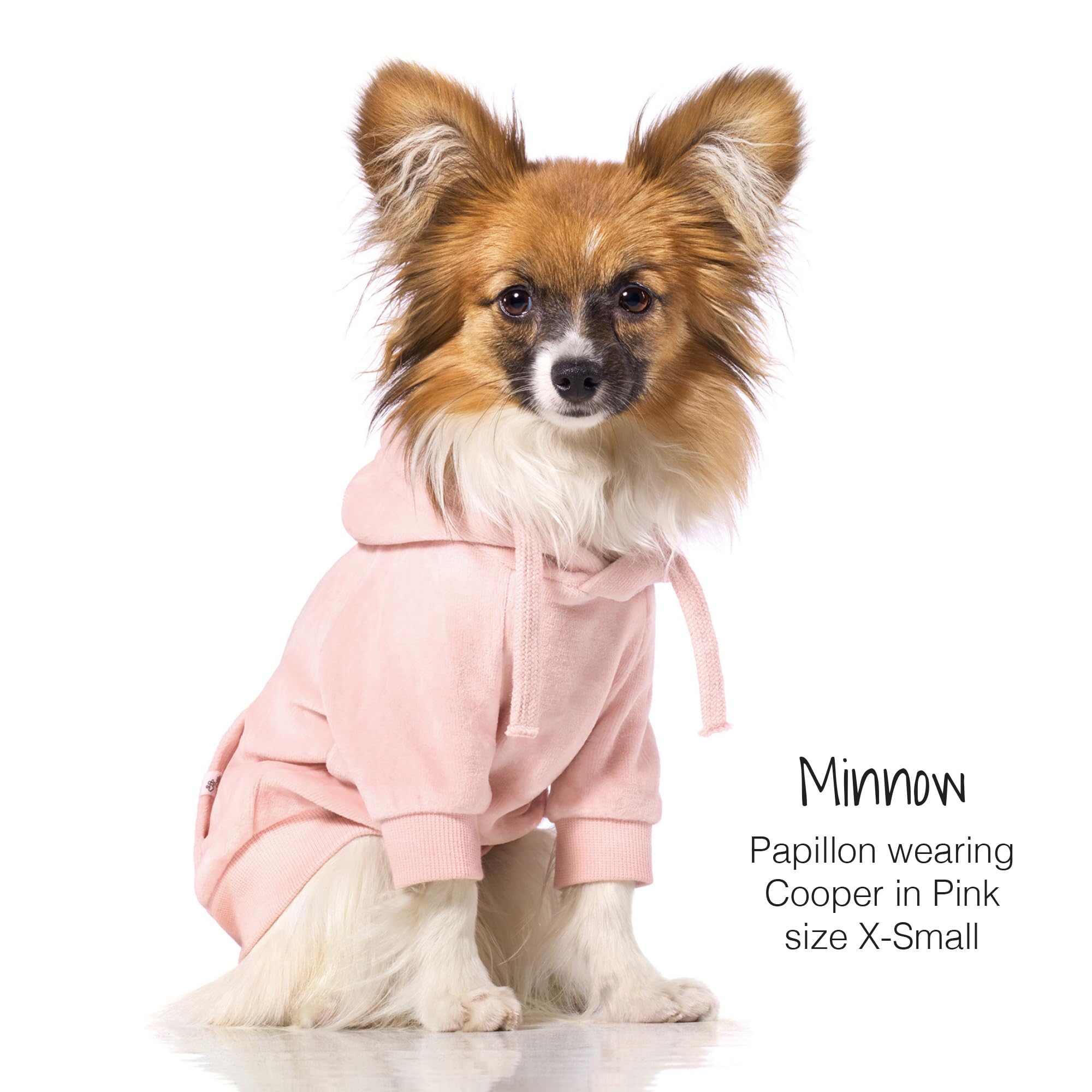 Condition photo showing As Is for pet passion cooper ii organic cotton velour dog hoodie pet coat for small, medium and large dogs, pi