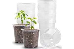 RooTrimmer 3.5" Clear Seeding Pots 100-Pack Round for Seeds Starter Pots, Seeds Germination Transparent Nursery Pots with Drainage Holes (100PCS)