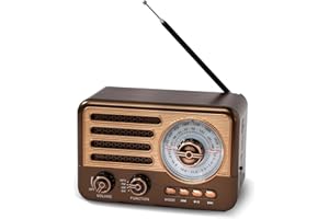 HPYLIF·H Retro Transistor Radio,Battery Powered AM FM SW,Small Rechargeable Portable Radio with 1800mAh Lithium-ion Battery,Support TF Card/Aux/USB MP3 Player
