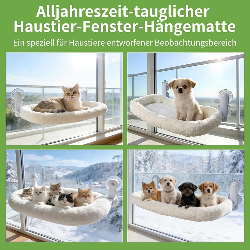 Katzen Fensterliege Hängematte mit Tierhaarentferner Handschuh, Katzen Hängematte mit Abnehmbarem 4-Seiten-Polster & Metallrahmen, Cat Hammock für Große Cat & Kätzchen (Weiß, Größe M)