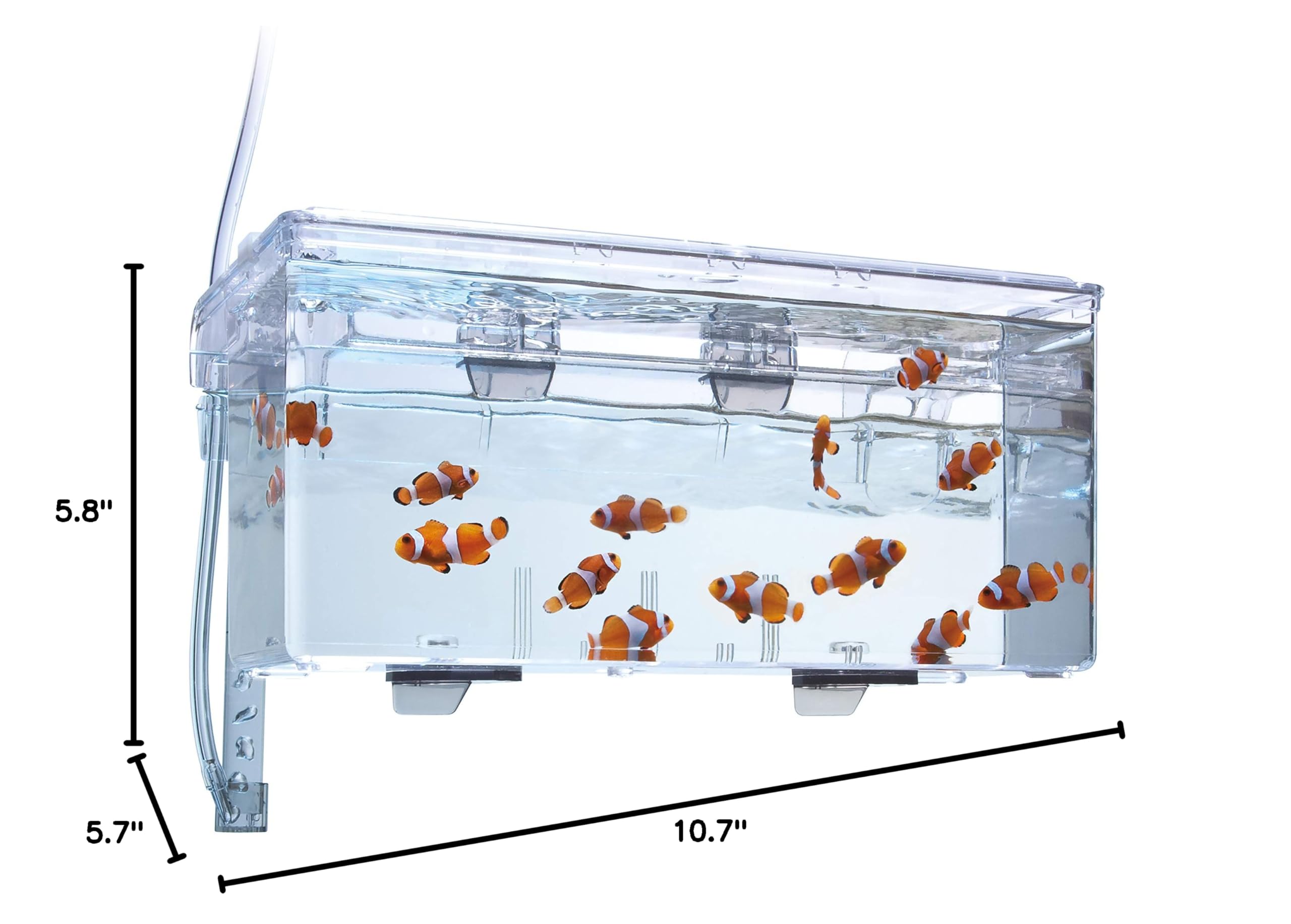Fluval Multi-Chamber Holding and Breeding Box, Large – Up To 3 Separate Housing Compartments