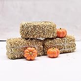 Mini Hay Bale with Pumpkins Set, Miniature Straw Bale, Dollhouse Miniature Hay, for Fall Miniatures, Mini Halloween, Dollhouse, Fairy Garden, Diorama,Tiered Tray