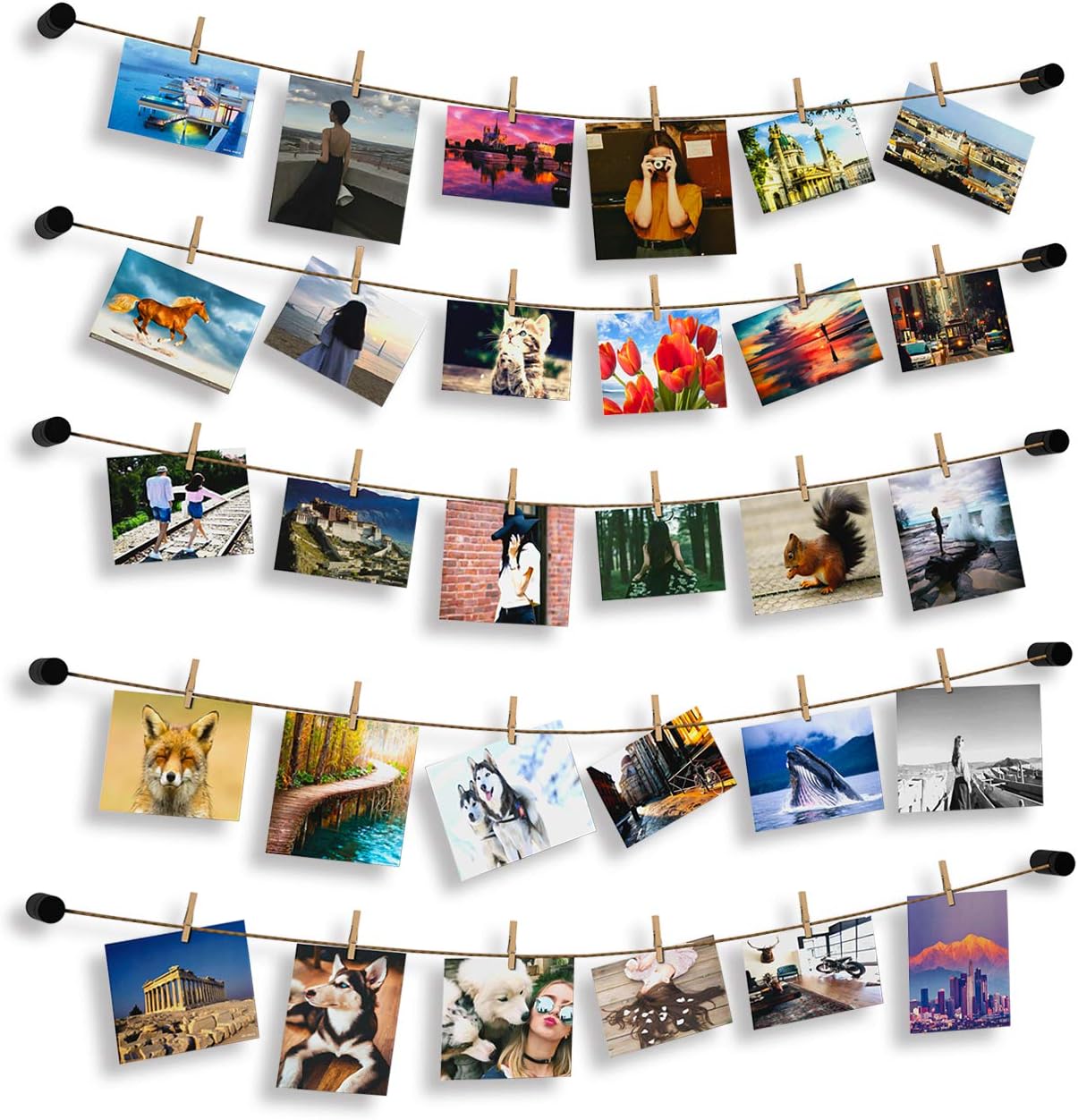 HOSOM String Picture Hanger with Clips, 16.5 FT String Photo Display for Bedroom, Wall Photo