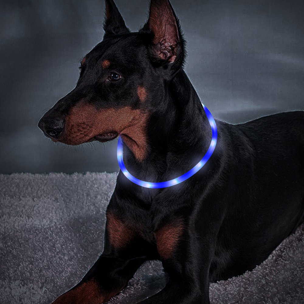 Clan_X LED Dog Collar, USB Rechargeable Silicone Glowing Pet Collar for Dogs, Light Up Doggy Collars Keep Your Dogs Be Seen& Be Safe (Blue-Silicone)