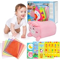 Amazon.com: OKOOKO Tissue Box Toy for Baby 6 to 12 Months Soft ...