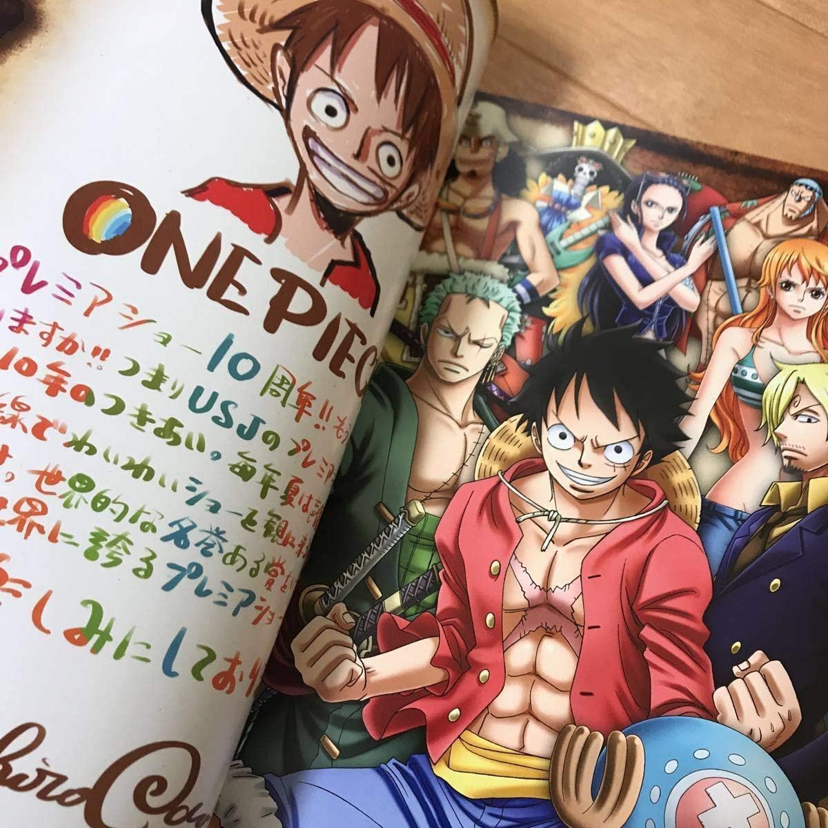 Amazon 完売品 One Piece Usj パンフレット 仲間 ワンピース 10th 10周年 プレミアショー 17 ルフィ 本 ナミ サンジ 検索用 輩 缶バッジ おもちゃ ホビー