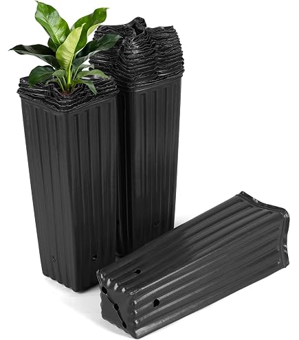Amazon.com: Stuewe & Sons – MT37 Mini Treepot – 3” x 7” Square