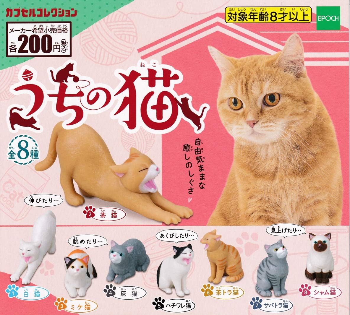 Amazon うちの猫 全8種セット フルコンプ ガチャガチャ カプセルトイ カプセル玩具 おもちゃ