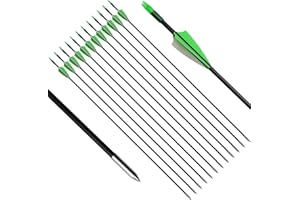 e5e10 28 inch / 31 inch Target Arrows Practice Fiberglass Arrow for Kids Youth Beginner, Safety Blunt Tip Arrows for Archery Recurve Bow Long Bow -12 Pack