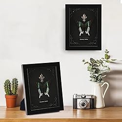 Real Butterfly Framed Butterfly Taxidermy