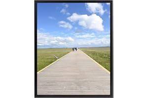 Aynoo 16x20 Picture Frame Black Display Poster 16x20 Wooden Picture Frames Display Pictures 16x20 Wooden Black Picture Frames 16x20,Wood,1Pack
