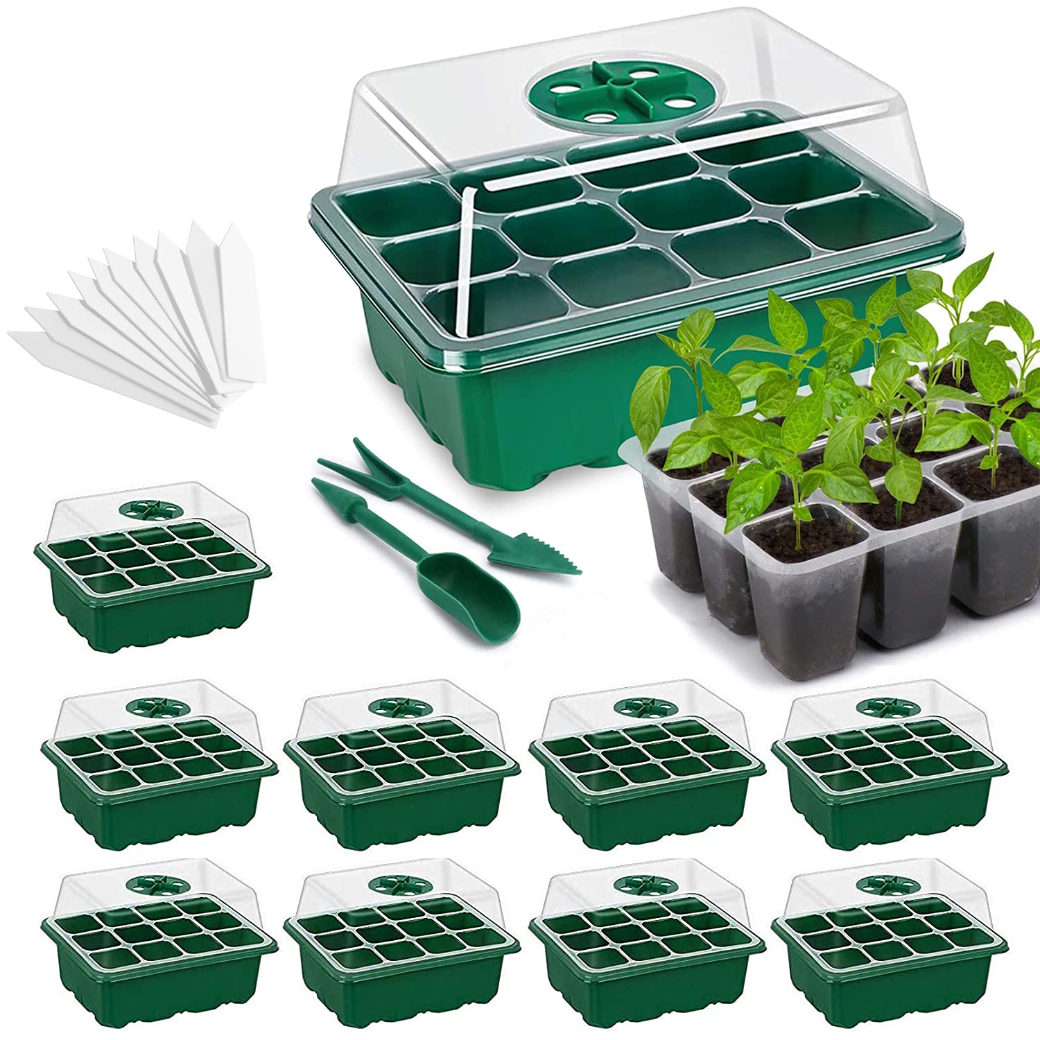 Buy 10 Pack Seedling Starter Tray Seed Trays,120 Cells Indoor Seed