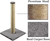 DIVCHI 16 Inch Cat Scratching Post 40 cm for Cats Natural Sisal Toy view 3