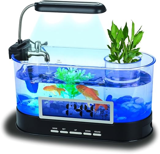 taking care of a siberian husky