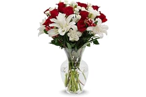 Stargazer Barn - Red Royale Bouquet (Includes Glass Vase) - Fresh Flowers for Delivery - Gift for Anniversary, Birthday, Congratulations, Get Well, Graduation, Sympathy, Christmas