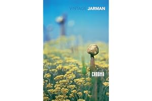 Chroma: A Book of Colour - June '93