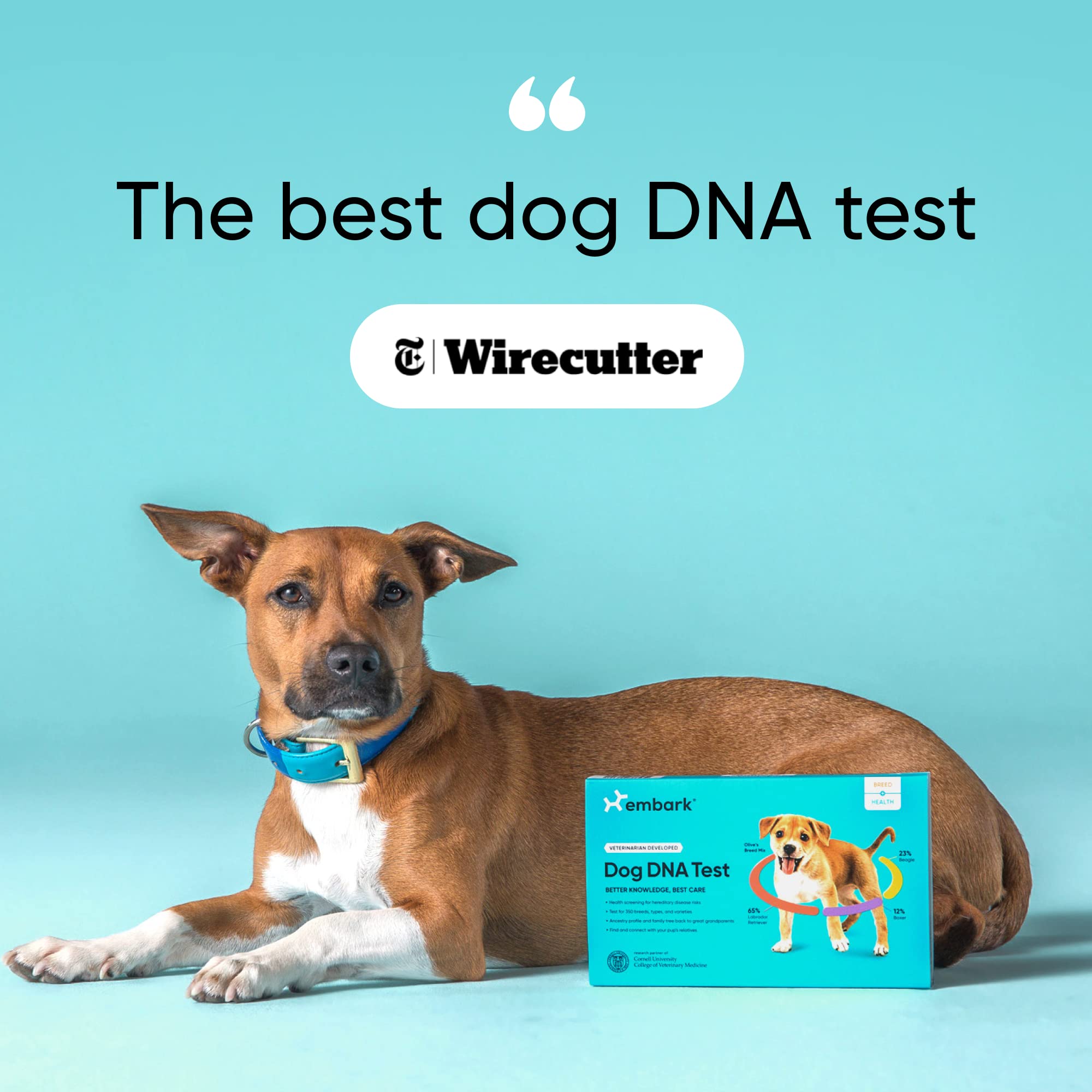 Embark Dog DNA Test Breed & Health Kit Breed Identification