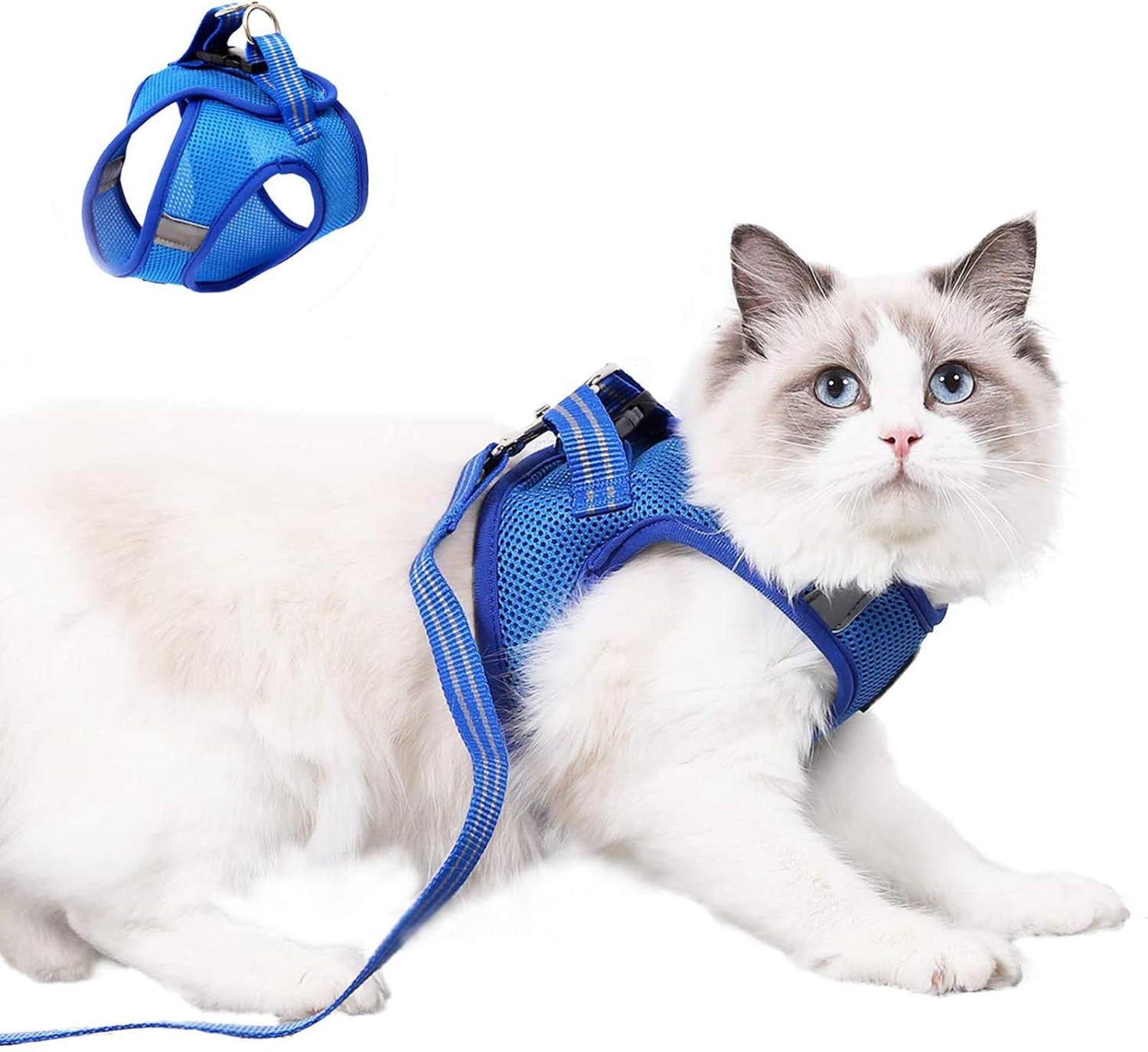 Juego de arnés y correa para gato para pasear, 360 °, con ...