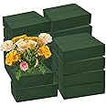 CANIPHA 30Pieces Floral Foam Blocks, Green Floral Foam for Flower Arrangements, Flower Foam Blocks Florist Foam Dry Foam Plant Foam Wet Foam for Artificial Flowers, (5.5 X 3.2 X 1.8 Inches)