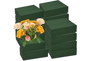 CANIPHA 30Pieces Floral Foam Blocks, Green Floral Foam for Flower Arrangements, Flower Foam Blocks Florist Foam Dry Foam Plant Foam Wet Foam for Artificial Flowers, (5.5 X 3.2 X 1.8 Inches)