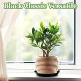 Kunjocy Pack of 5 Black Plant Pot Saucers 16 cm Round Tray Garden view 3